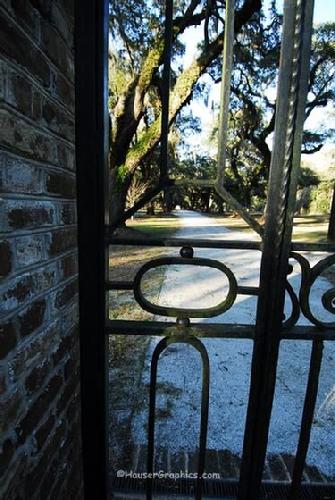 Iron Masterpiece Fenwick, Gates of Fenwick, River Road, Johns Island, Seabrook, Kiawah, Morawetz, Charleston Restoration, Charleston Plantations 