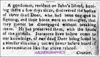 Deer John's Island, 1815, 3 deer antlers stuck together, Fenwick, Stono River, Penny's creek, 