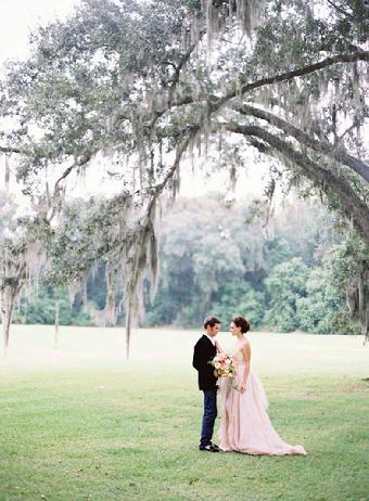 oak tree moss charleston 