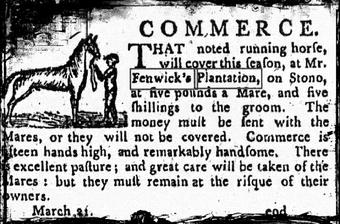 The horse "Commerce" was advertised in the "City Gazette" in March 21, 1796, was standing at Stud at Edward Fenwick Jr's Stables on John's Island.