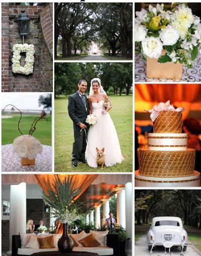 charleston sc plantation weddings,  best wedding photographer, wedding sites, vampire of fenwick, fenwick hall plantation, the first 300 years