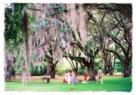 picnic in the ancient oaks johns island