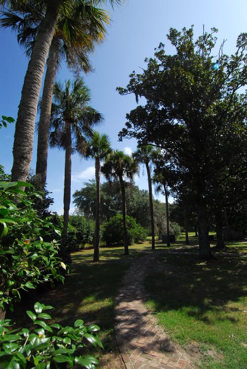 Carolina Palms, State tree, Stono River, John's Island, Brick walk 