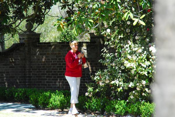hazel hauser, fenwick camellias, charleston weddings, plantations, castles south carolina, 