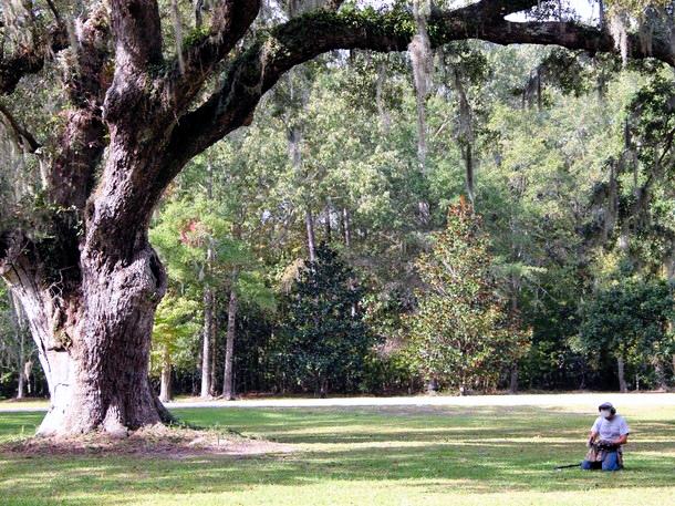 Diggers, Tim Saylor, Charleston Plantation, Johns Island Weddings, Old Mansion, Lulu, 